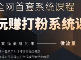 2025行业首套全网全域打粉系统神课，做流量做离钱最近的事，一套新手入行打粉引流必备课