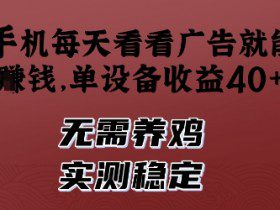 手机每天看看广告就能挣钱，单设备收益40+，无需养鸡，实测稳定【揭秘】