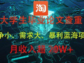 大学生毕业论文查重，暴利蓝海项目，月收入过1W+