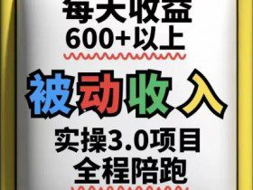 被动收入实操3.0项目，每天收益6张+以上，能长期操作