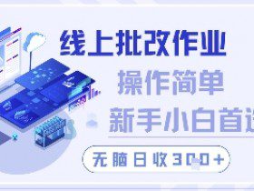 线上批改作业，操作简单新手小白首选，无脑日收300+【揭秘】