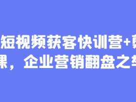 AI+短视频获客快训营+剪辑课，企业营销翻盘之举