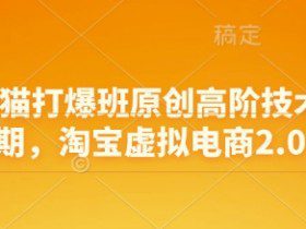 淘宝天猫打爆班原创高阶技术第68期，淘宝虚拟电商2.0