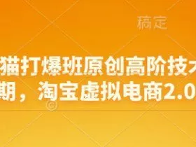 淘宝天猫打爆班原创高阶技术第68期，淘宝虚拟电商2.0