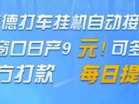 高德地图挂G接单，单窗口日产9元，官方打款，每日提现【揭秘】