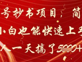 公众号抄书项目，简单粗暴，小白也能快速上手，有人一天搞了1k+