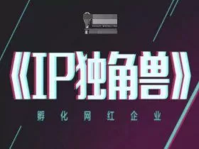 IP独角兽，孵化网红企业，ip教程