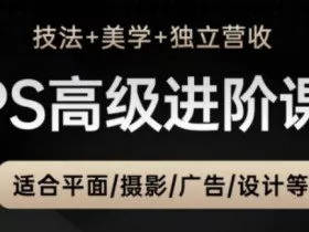 PS高级后期进阶课（技法+美学+独立营收），适合平面摄影广告设计等