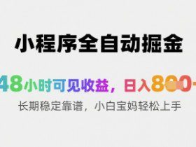 小程序全自动掘金，48小时可见收益，日入8张+长期稳定靠谱，小白宝妈轻松上手【揭秘】