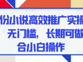 五月份小说高效推广实操，0成本，无门槛，长期可做，适合小白操作