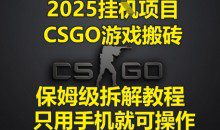 2025挂G项目，CSGO游戏搬砖，保姆级拆解教程，只用手机就可操作【揭秘】