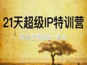 21天超级IP特训营，屌丝逆袭的唯一机会