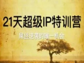 21天超级IP特训营，屌丝逆袭的唯一机会