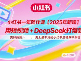 小红书一年陪伴课【2025年新课】，用短视频+deepSeek打爆款，史上最干货的小红书店铺爆款课程