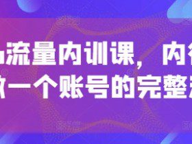 个人ip流量内训课，内行人教你做一个账号的完整流程