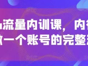 个人ip流量内训课，内行人教你做一个账号的完整流程