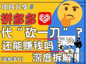 【2025最新】拼多多代坎助力项目深度拆解：还能挣钱吗?全流程玩法