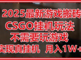 2025最新游戏搬砖，CSGO挂G，不需要玩游戏，实现真挂G，月入1W+【揭秘】