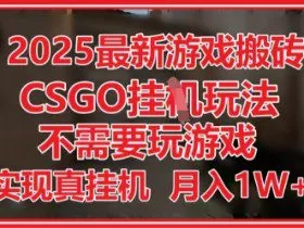 2025最新游戏搬砖，CSGO挂G，不需要玩游戏，实现真挂G，月入1W+【揭秘】