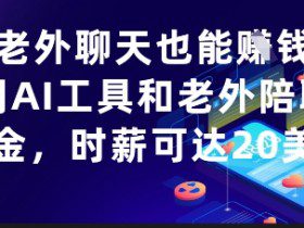 和老外聊天也能挣钱？利用AI工具和老外陪聊挣美金，时薪可达20刀