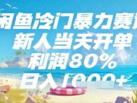 闲鱼冷门暴力赛道，新人当天开单，利润80%，日入几张，长期可做【揭秘】
