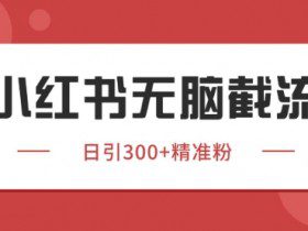 小红书只要你有同行就能获客，独家野路子获客玩法，暴力截流【揭秘】