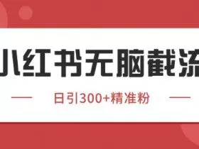 小红书只要你有同行就能获客，独家野路子获客玩法，暴力截流【揭秘】