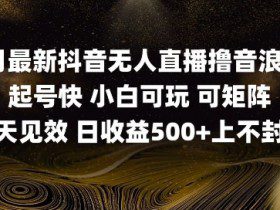 2025五月最新无人直播撸音浪单日产出5张+实操教程【揭秘】