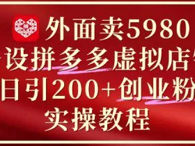 外面卖5980开设拼多多虚拟店铺：单日引流200+创业付费粉实战教程