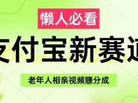 支付宝新赛道，利用老年人相亲视频，挣分成收益，轻松月入过W，操作简单