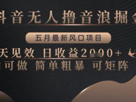 抖音无人撸音浪掘金，五月最新风口项目，当天见效，日收益多张，小白可做简单粗暴可矩阵【揭秘】