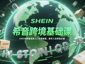 希音跨境基础课，SHEIN希音卖家入门实操指南，新手入坑希音必看