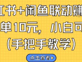 小红书+闲鱼联动挣钱，一单10元，小白可做