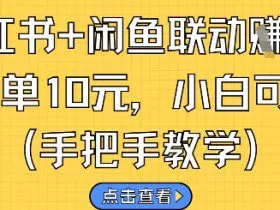 小红书+闲鱼联动挣钱，一单10元，小白可做