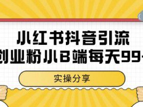 小红书抖音创业粉，小B端粉自热，日引99+的一个玩法【揭秘】