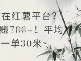 抄书在小红薯平台？平均一单30米，一天收益几张！