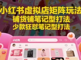 小红书虚拟店矩阵玩法，铺货铺笔记型打法，少款狂怼笔记型打法