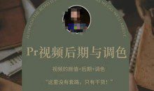 PR视频后期PS与调色视频颜值=后期+调色
