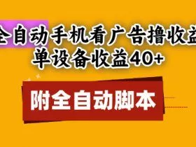 全自动看广告撸收益，单设备收益40+，可矩阵，附脚本，小白必选【揭秘】