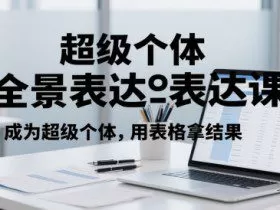 超级个体全景表达课，成为超级个体，用表格拿结果