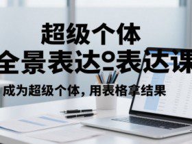 超级个体全景表达课，成为超级个体，用表格拿结果
