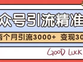 公众号精准粉引流玩法，2个月3000+精准粉，变现30个W【揭秘】
