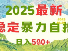 2025最新暴力自撸项目，日入5张+，可矩阵操作【揭秘】