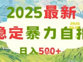 2025最新暴力自撸项目，日入5张+，可矩阵操作【揭秘】