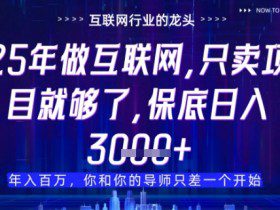 什么！25年你还在找项目做？风口早就变了，卖项目才是稳挣不赔【揭秘】