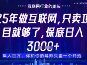 什么！25年你还在找项目做？风口早就变了，卖项目才是稳挣不赔【揭秘】