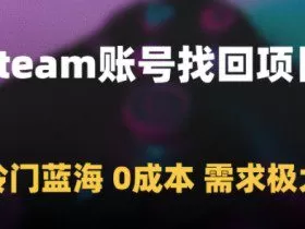 Steam账号找回项目，冷门蓝海，0成本，需求极大