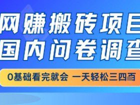 网创搬砖项目，国内问卷调查，小白轻松上手，一天三四张的也不难，干就完了【揭秘】