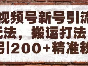 视频号新号引流玩法，搬运打法日引200+精准粉，可矩阵放大【揭秘】