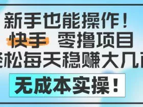 新手也能操作，快手零撸挣米，轻松每天挣2-5张，完全无成本